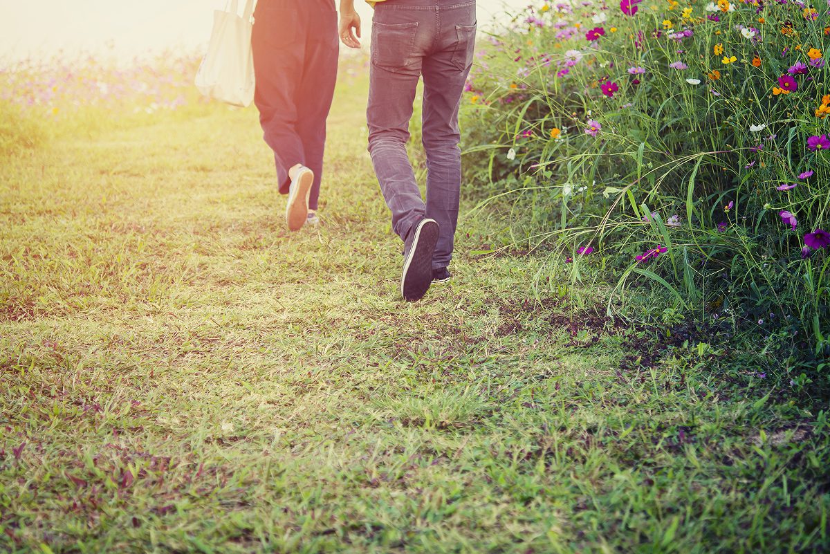 People walking on grassy path with flowers.