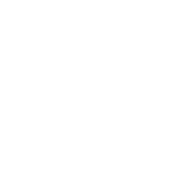 Airplane icon in a black circle.