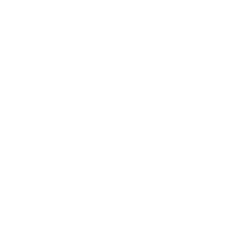 Shopping bags icon in black and white.